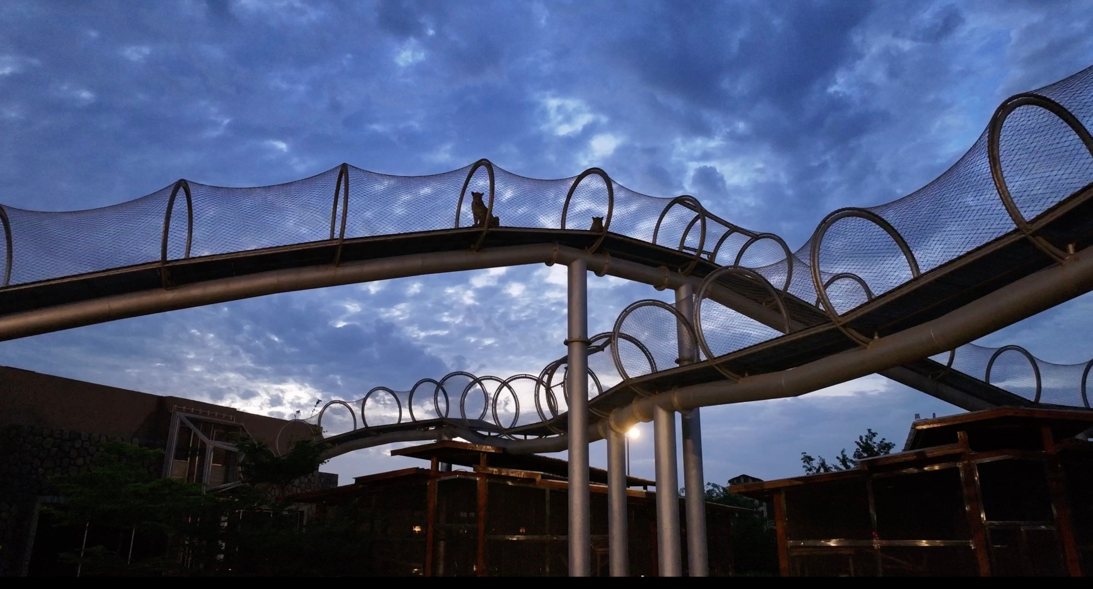 Innovations in Zoo Design