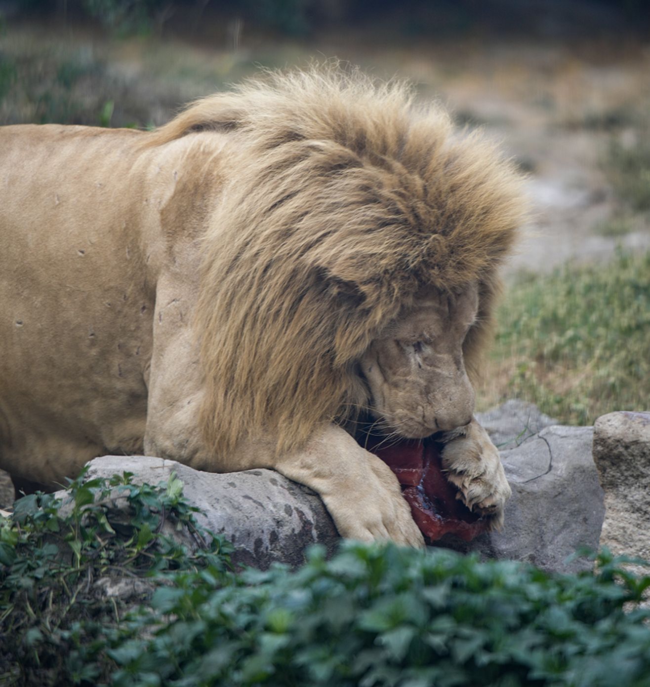 Nutrition enhanced with Science