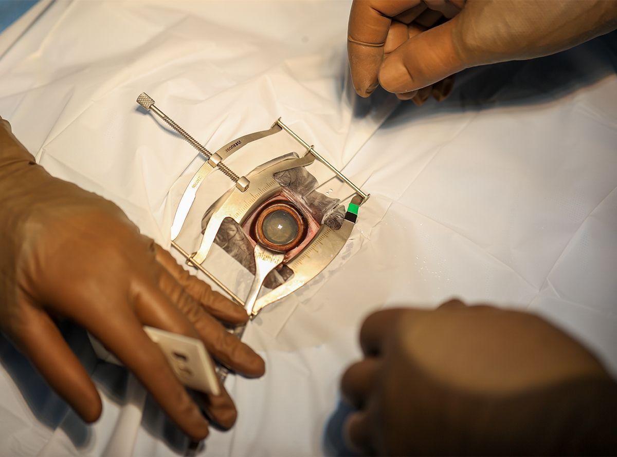 Advanced Surgical Capabilities for Elephants