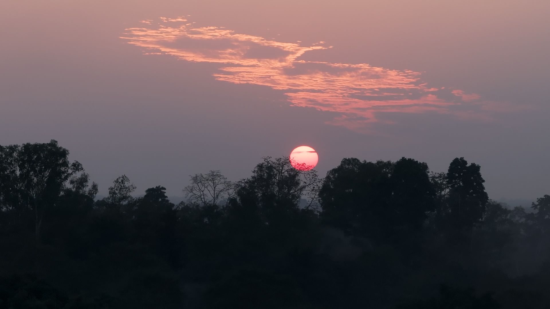 Advancing the Frontier of Rescue, Rehabilitation, and Conservation