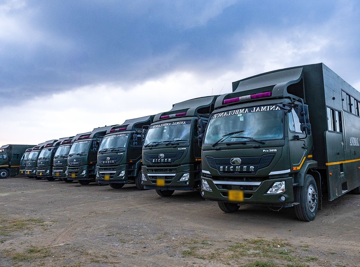 Fleet of Animal Ambulances at Vantara.