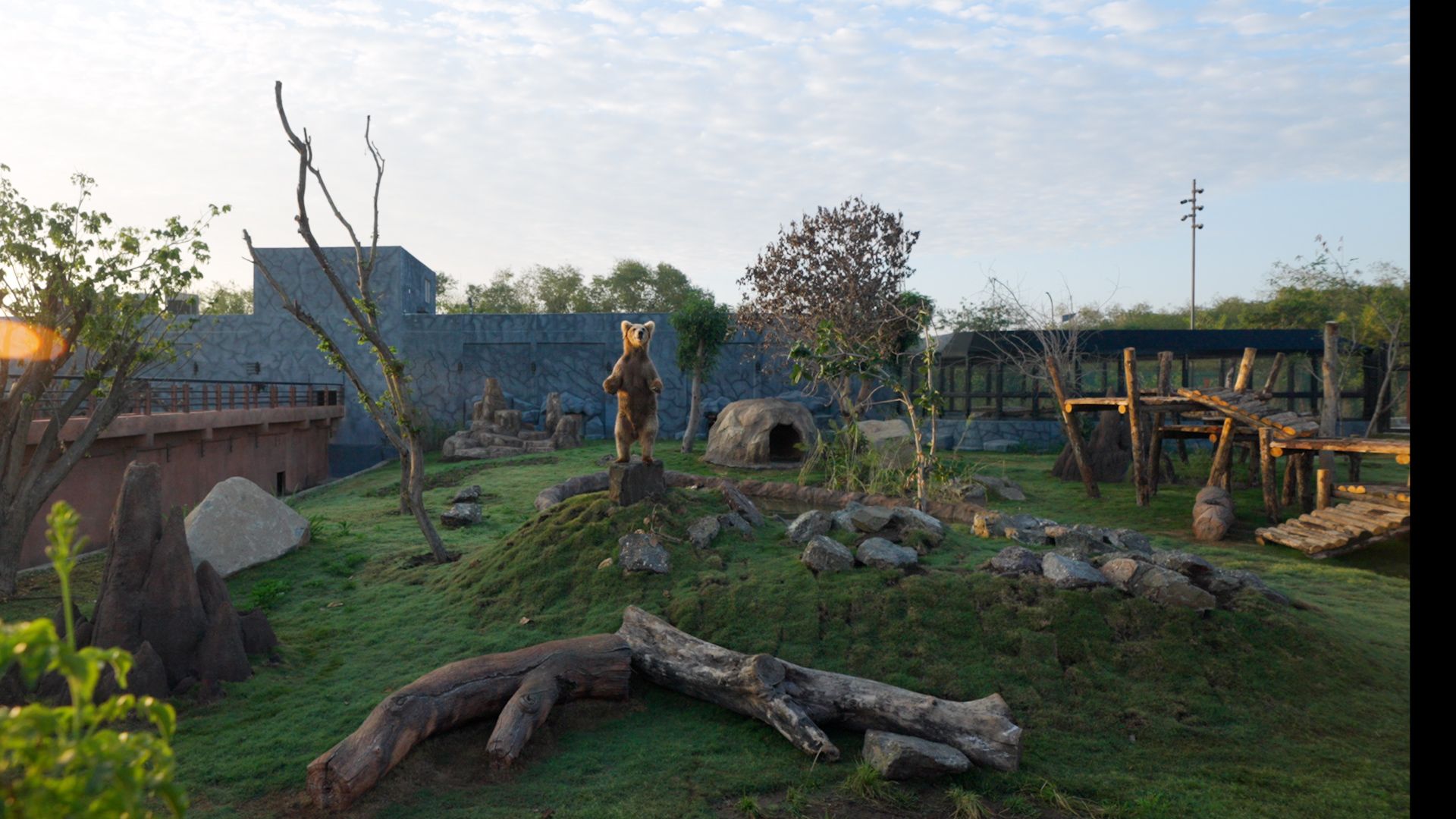 World Bear Day - 23rd March - 150+ rescued Bears now call Vantara home.