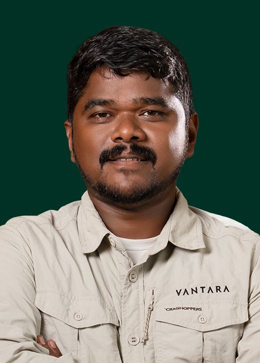 Dr. Silambarasan - Animal Care Team at Vantara