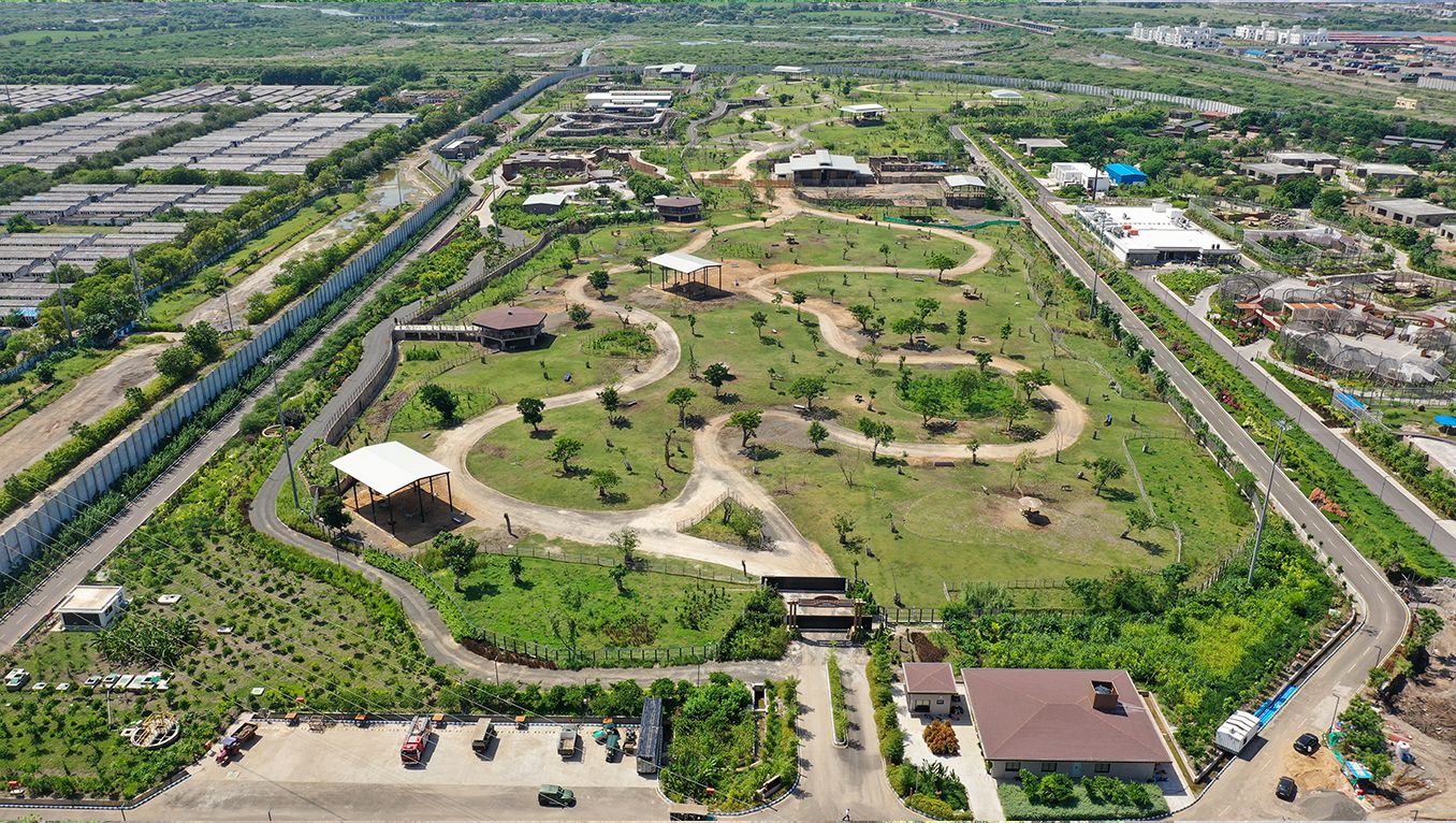 Advancing Zoo Veterinary Care: Innovations, Technologies and Collaborations Shaping The Future Of Zoological Medicine
