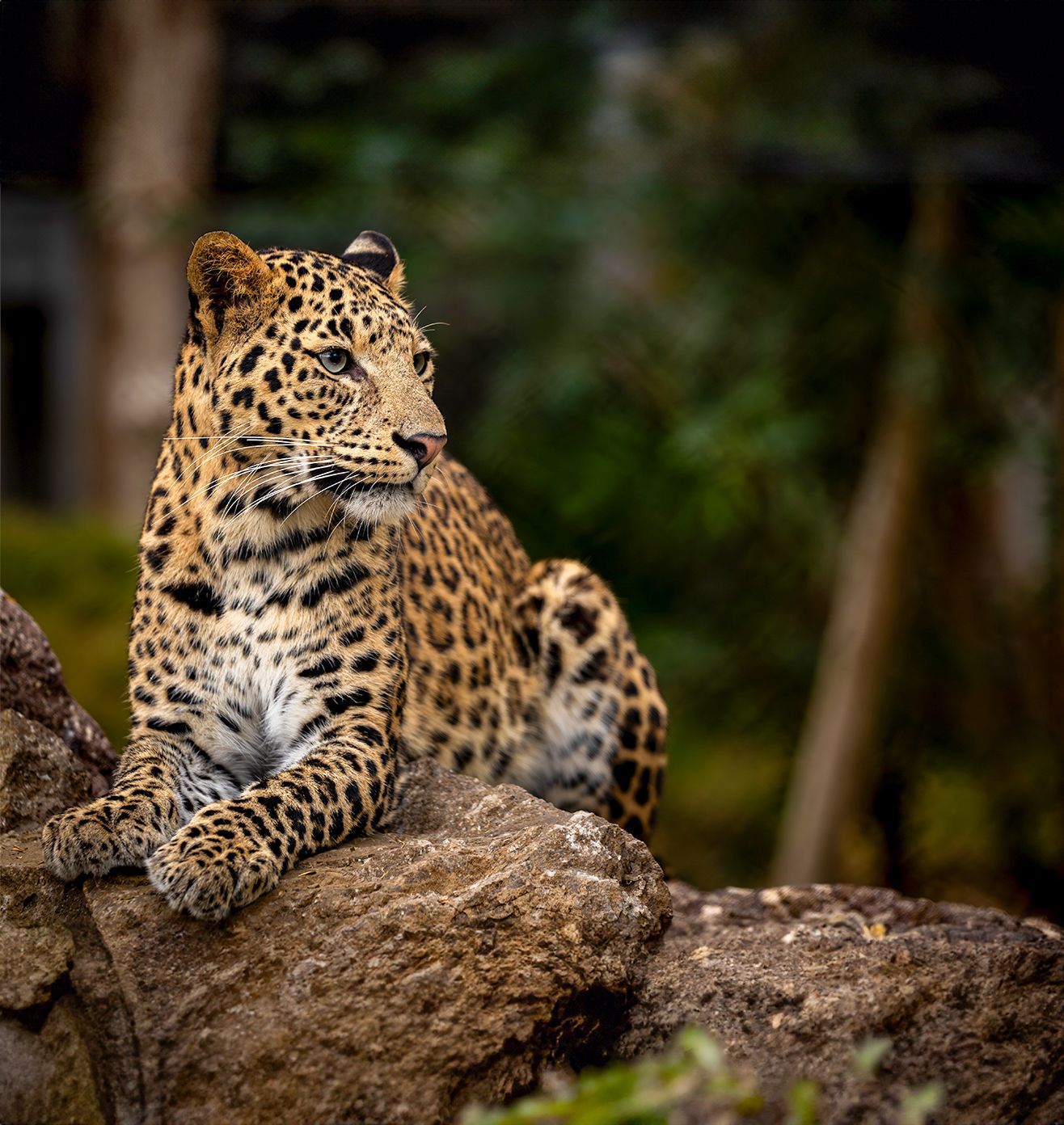 Core Initiative - Rescue and Recovery