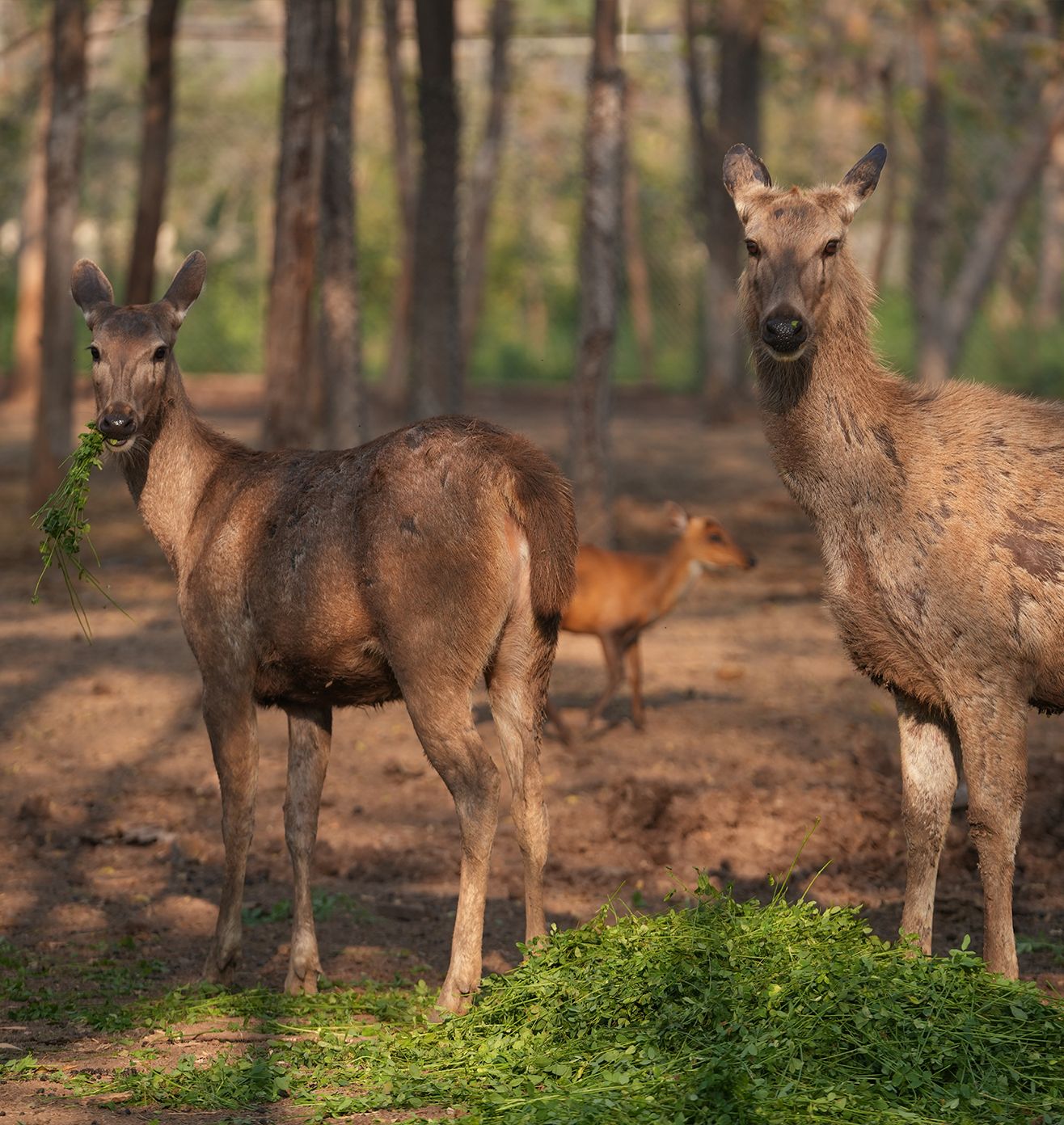 Nutrition enhanced with Science