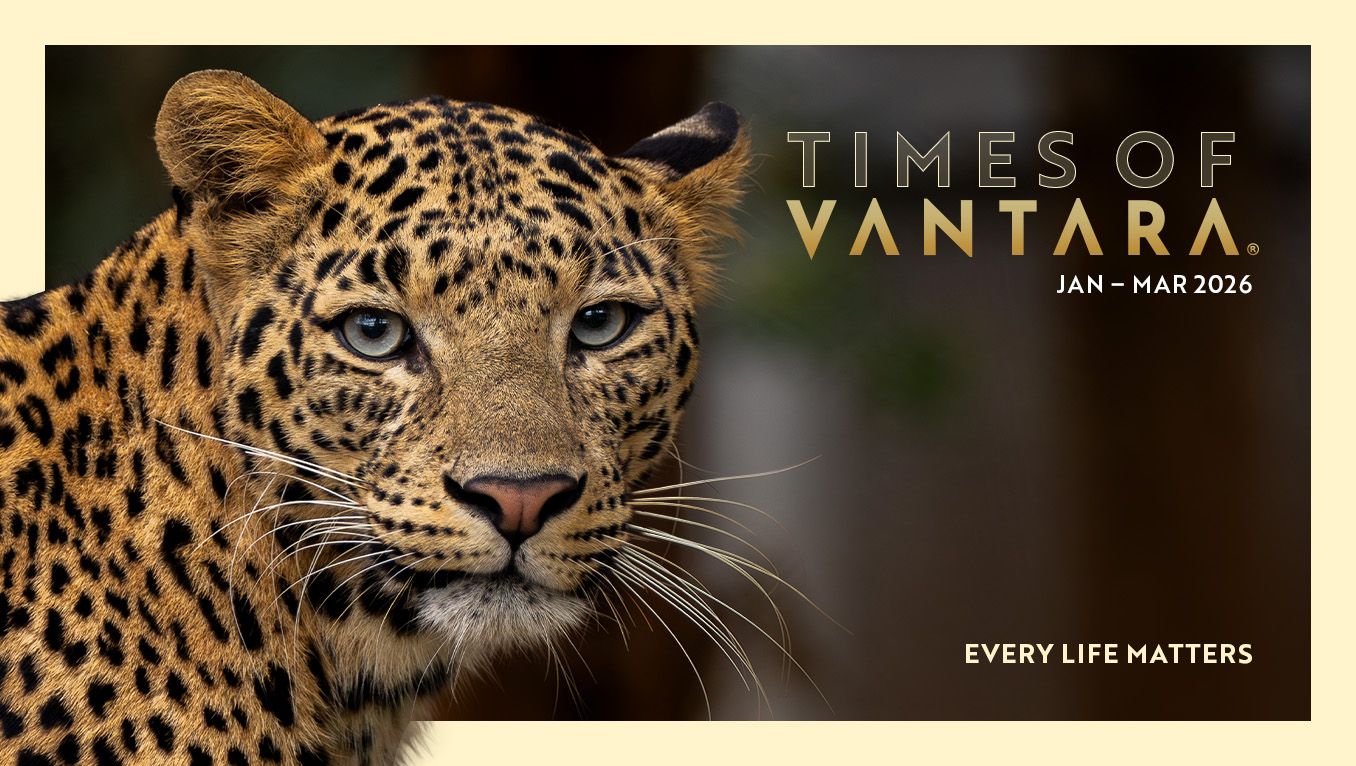 Times of Vantara - Jan-Mar 2026 Edition