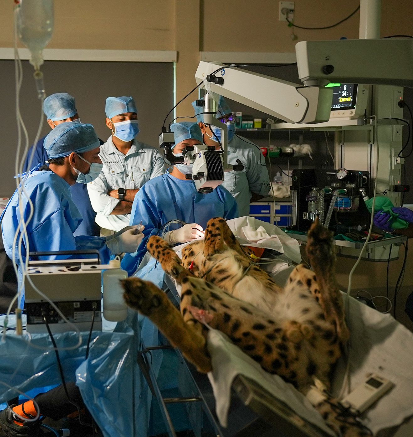 Treatment and Care - Core Initiative at Vantara