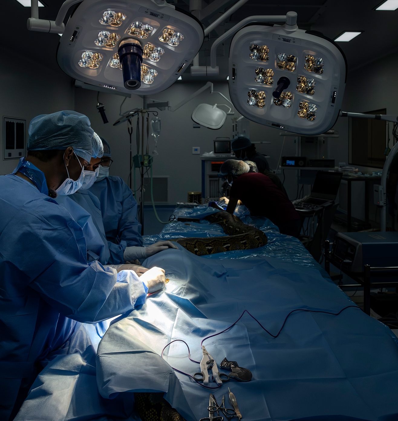 Treatment and Care - Core Initiatives at Vantara