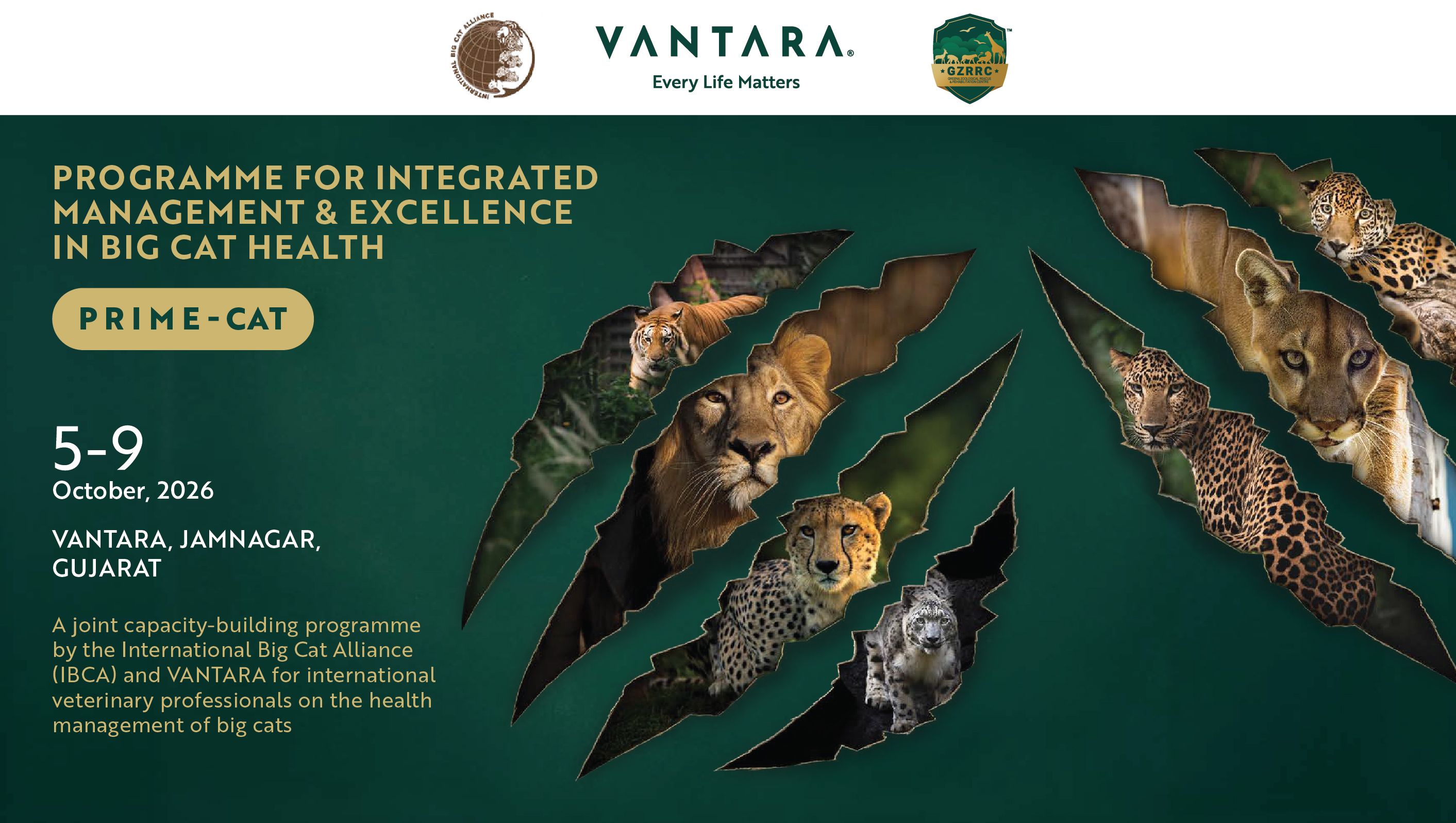 Vantara to co-host PRIME-CAT with IBCA, shaping the future of big cat care.