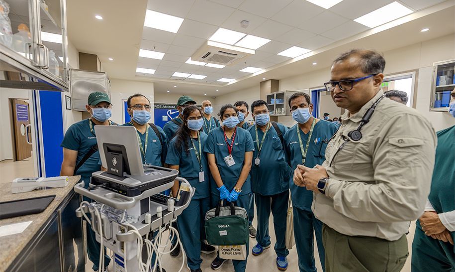 Flagship veterinary training on conservation medicine. 