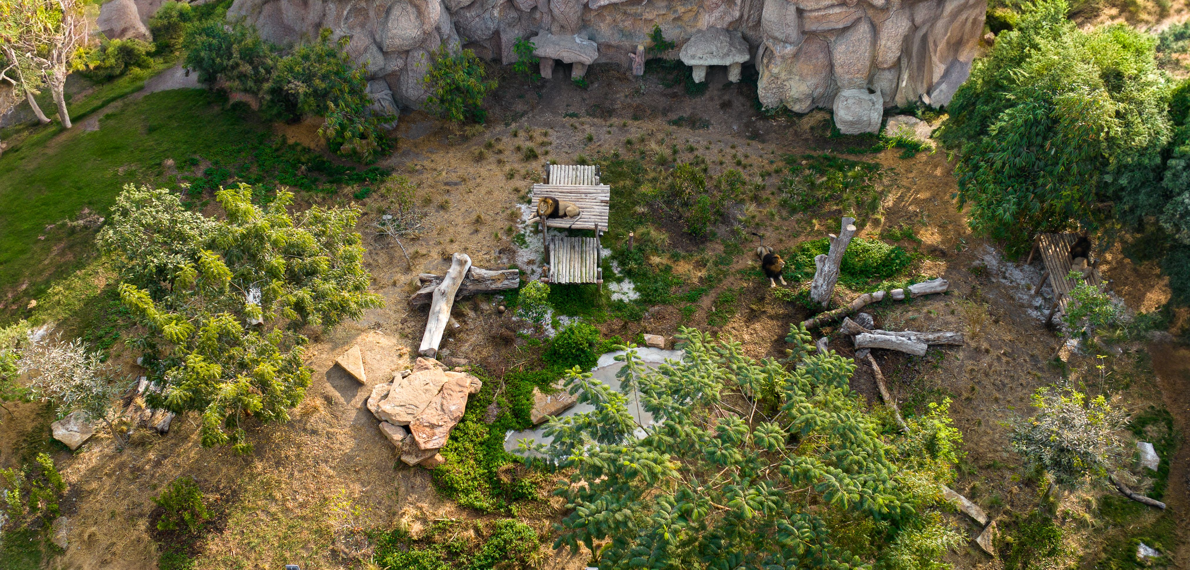 Best practices for Captive Animal Management